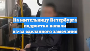 На жительницу Петербурга подростки напали из-за сделанного замечания