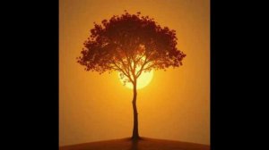 Секреты жизни