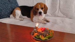 А мне уже четыре года.