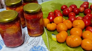 На машине в Лальск ,новая лопата.