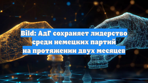 Bild: АдГ сохраняет лидерство среди немецких партий на протяжении двух месяцев