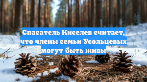 Спасатель Киселев считает, что члены семьи Усольцевых могут быть живы