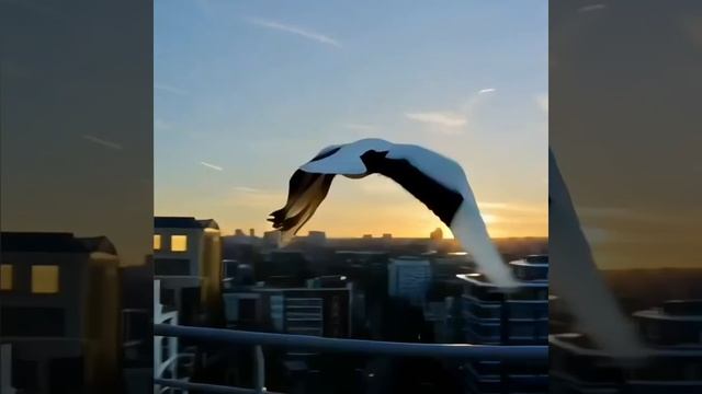 в память о погибших земляках .Нижнекамск