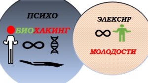 Практическая польза философии - философский камень