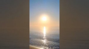 Я выбираю истинно Любовь. Стихи Н. Светловой