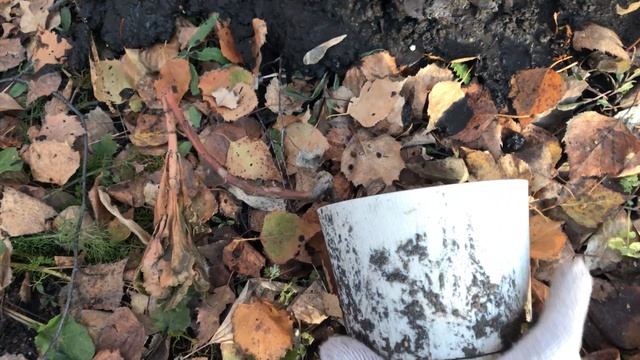 Начинаю готовить дачный участок к зиме смотреть онлайн