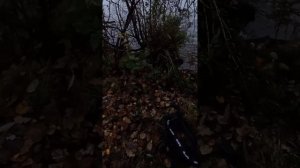 Пешим порядком по берегу Пироговского водохранилища. Про подсак от Dayo.
