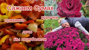 25-10-2025 Из Сибири на юг 💖//Переболели//Саженцы//Курочки//Лечо//Наслаждаемся южной жизнью ☀️☀️☀️