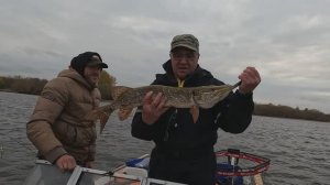 Рыбалка троллингом. Сезон заканчивается. Октябрь.