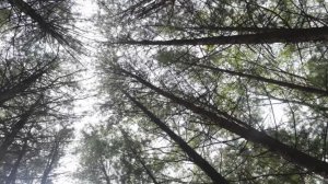 VID_20251025192955260