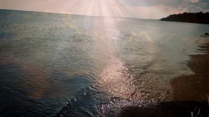 Легкая инструментальная  музыка "Морская роза' муз. И. Скорик