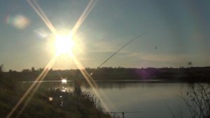 Роговое - первый выезд по карпу