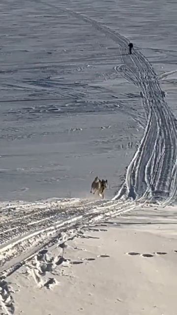Постой. А можно я, с тобой?