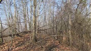 Бродилки от Бродислава 285. В ожидании снега.