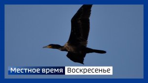 Местное время. Воскресенье 261025