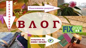 ВЛОГ.Расхламления.ФИКС ПРАЙС.Бальзамины радуют