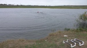 Голосовое сопровождение  на грузинском языке