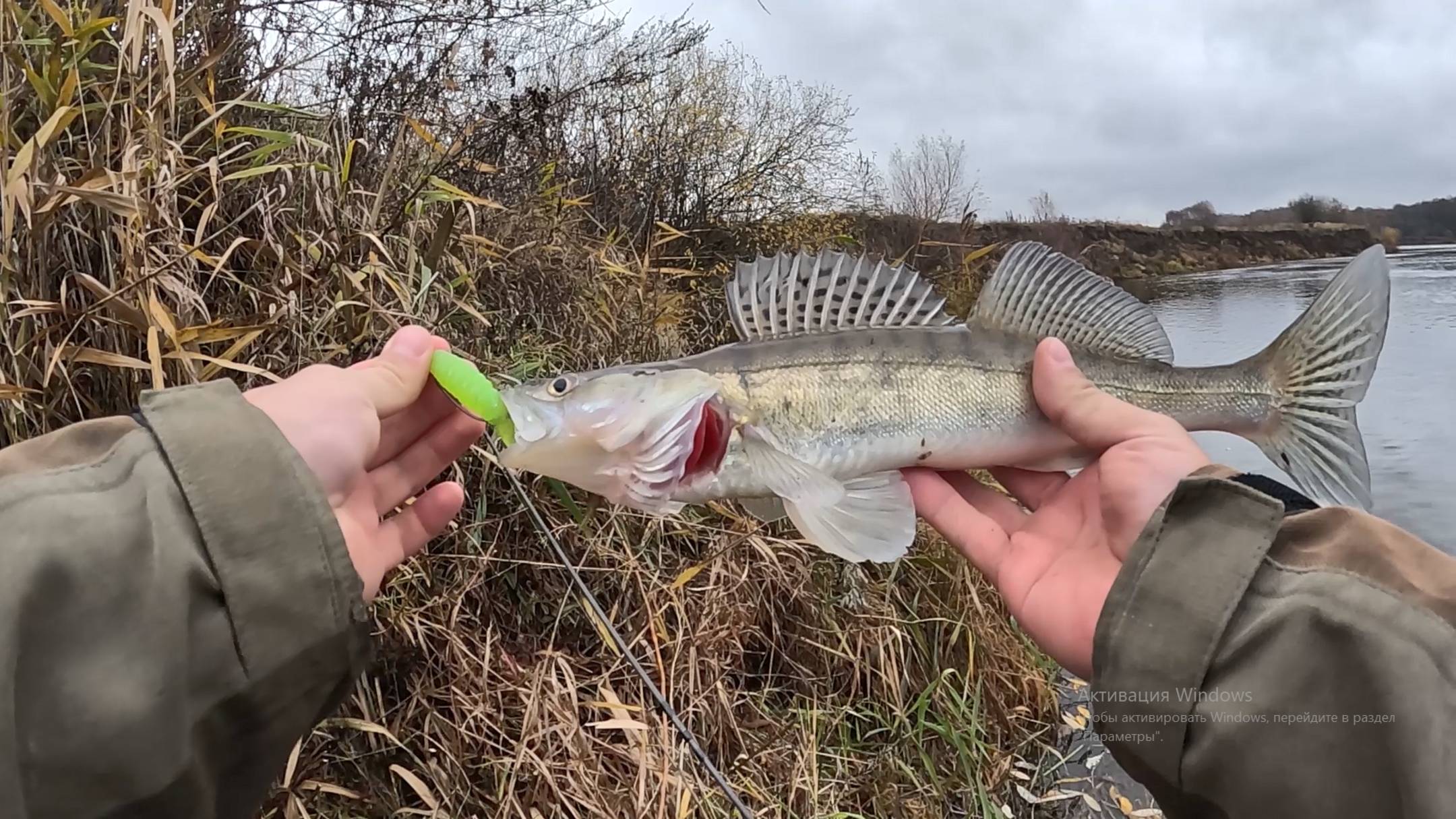 ОСЕННИЙ ЖОР. ЩУКА и СУДАК НА СПИННИНГ с берега