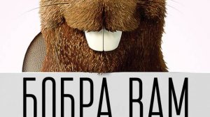 Купаются бобры