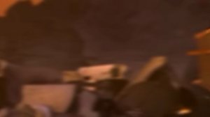 дык кыд дыш