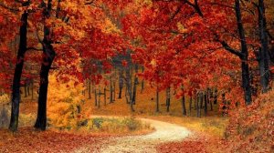 Прощание с октябрем автор Альфия Болатова