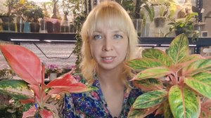 Растения с яркой расцветкой