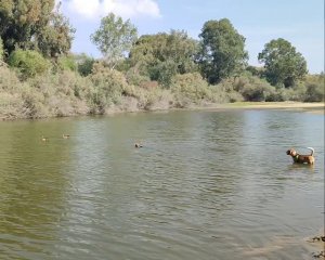 А утки, кря-кря-кря, кричали, парень, зря ты хочешь счастье здесь своё найти.