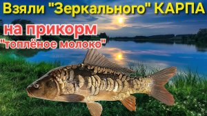 🔥Ночной Зеркальный КАРП⚡️ на прикормку ТОПЛЁНОЕ МОЛОКО 🔥 рыбачим на "платнике" Осенью - 2025 !!!