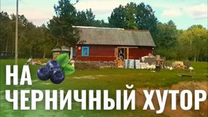 ЧЕРНИЧНЫЙ ХУТОР 25.10.2025 ( новинка ) , Лесная Жизнь , Хутор в Лесу , Черничники