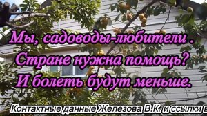 Мы, садоводы-любители. Стране нужна помощь? И болеть будут меньше.