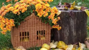 Осенние носочки 🧦🧶🧦и прочее творчество 🏠🛖🏠