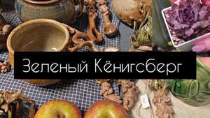 зеленый Кёнигсберг