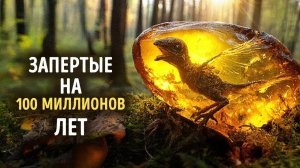 Самые странные вещи, когда-либо найденные замороженными в янтаре