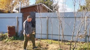 Первые ЗАМОРОЗКИ, яркая осень и СВЕТ на мангальной! 🍂