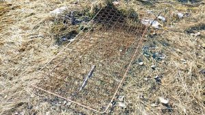 Съездил на свалку на поиск  металлолома, и сколько в итоге я нашёл.