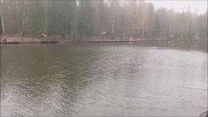 Рыбалка на нижнем. Клёвое место, Лосиный остров.