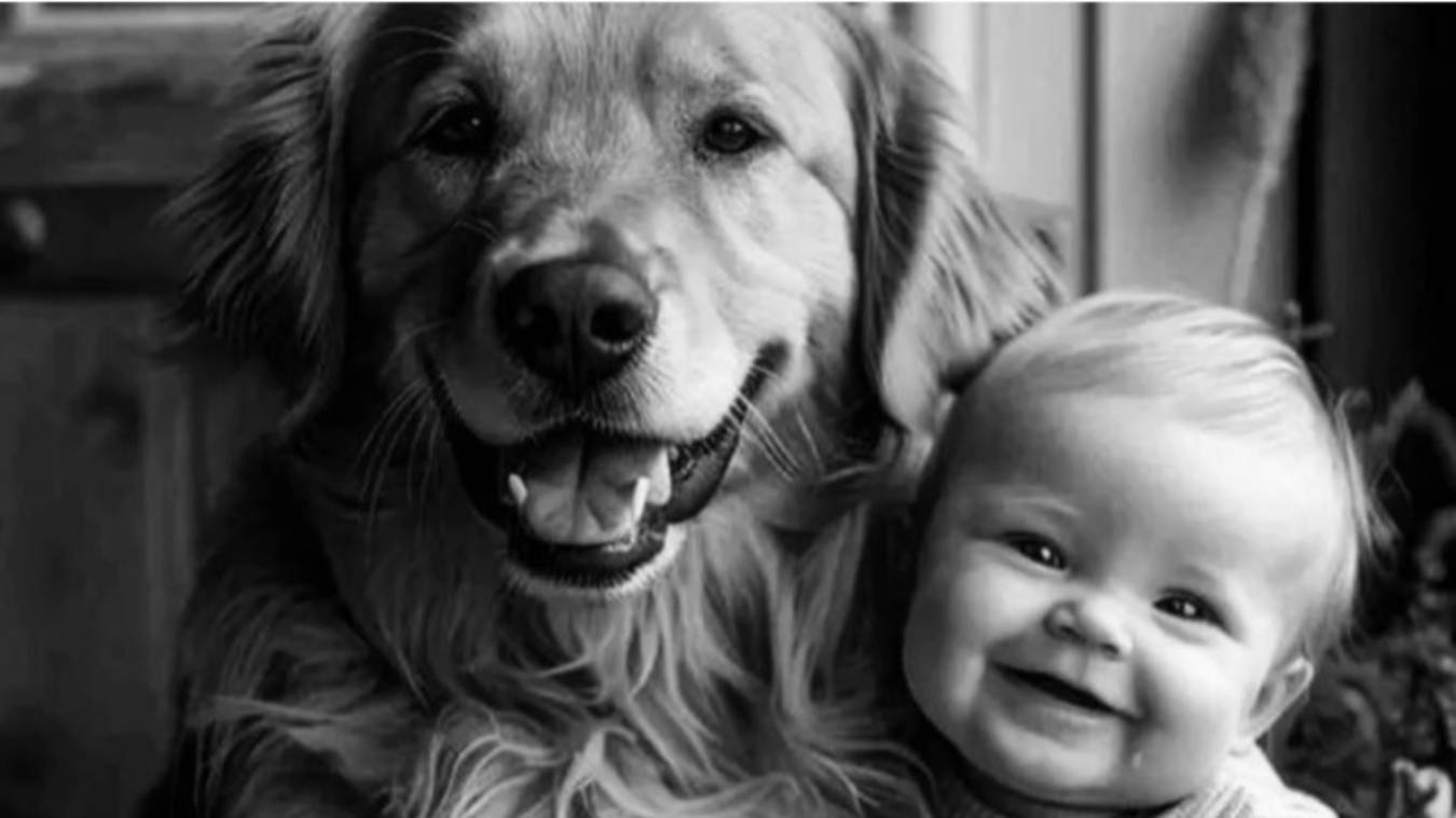 С любовью из детства!