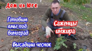 Дом на Юге.  Посадили чеснок. Саженцы инжира. Готовим ямы под виноград.
