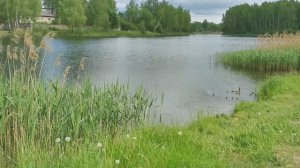 Санаторий Красный Бор, конкурс авторской песни