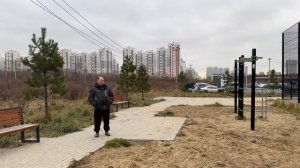 Джек Рассел Терьер (гладкошерстный)