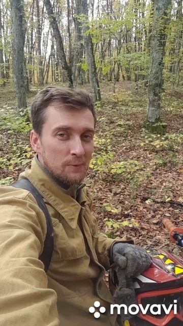 Осень. грибы. красота. 24.10.2025 #отдых #хобби #лес #пчеловодство #пасека #природа #грибы смотреть онлайн