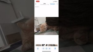 ScreenRecording_10-21-2025 15-12-33_2