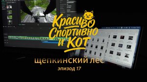 Щепкинский лес - эпизод 17