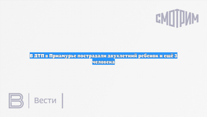 В ДТП в Приамурье пострадали двухлетний ребенок и ещё 3 человека