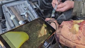 НАУМ в БК Мастера делятся опытом