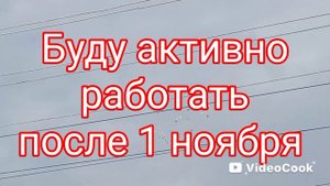 Голуби