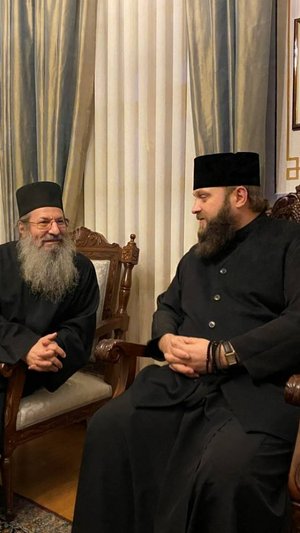 2025. НА АФОНЕ СПОР О ВИЗИТЕ И ПРИЕМЕ ГЛАВЫ ПЦУ. ПОКАЯНИЕ ИЛИ ОТЛУЧЕНИЕ. Мнение А.РОЖИНЦЕВА