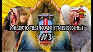 МЫКОЛЫ КАК ГИББОНЫ