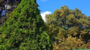 Тайницкий сад!💖💖💖