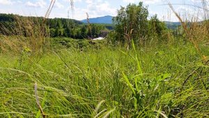 Крепкий Сон, релакс, медитация // Пение Соловья и Сверчков // Звуки Природы